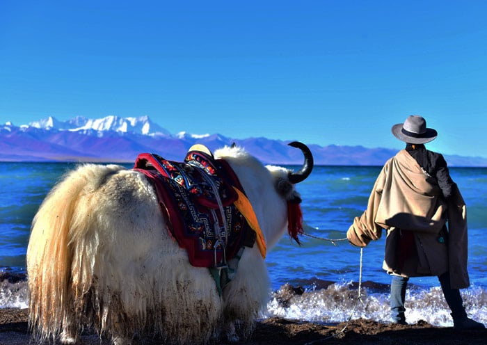 11 Days Tibet Train Tour from Shanghai with Everest Base Camp & Namtso Lake