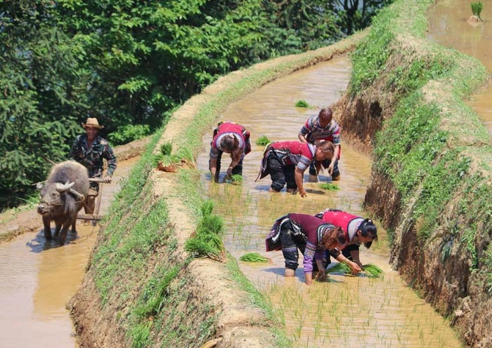 6 Days Yuanyang Rice Terraces Tour - Kunming, Jianshui & Honghe Hani Minority