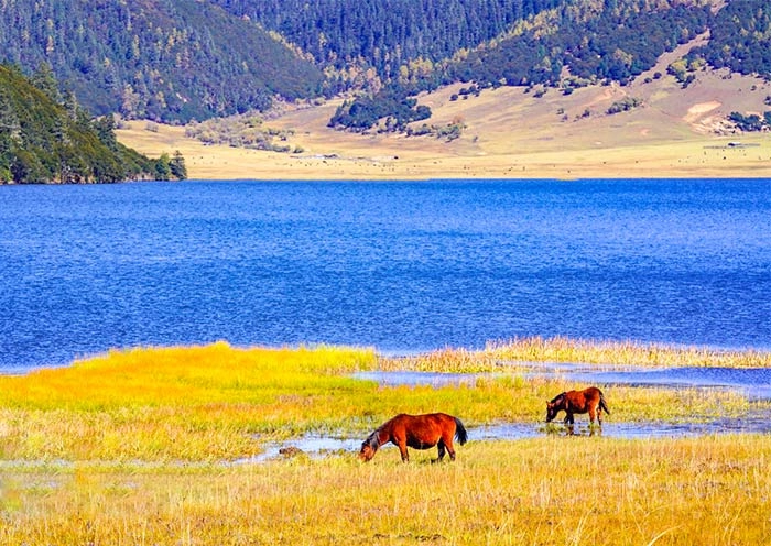 7 Days Yunnan Adventure: Dali Lijiang Shangri-La Tour