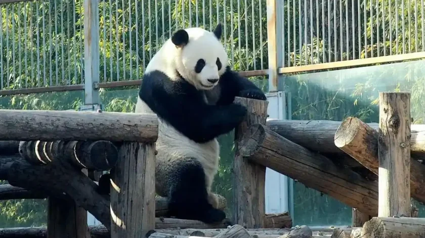 Get in close contact with nature and explore the wonderful animal world Get in close contact with nature and explore the wonderful animal world